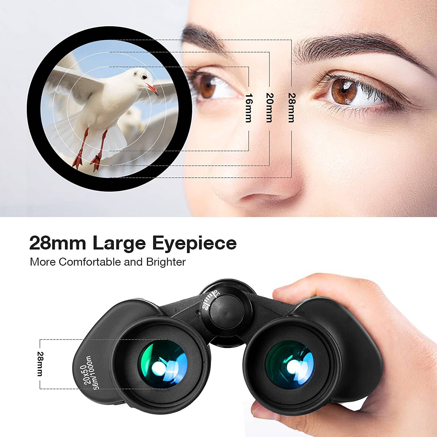 Explorer High-Power Hunting Binoculars 20x50